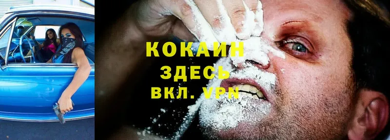 Cocaine FishScale  Козельск 